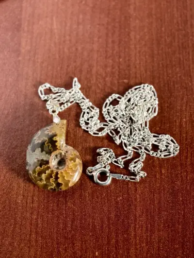 Collar de plata  con colgante de fósil de amonita - miniatura 1