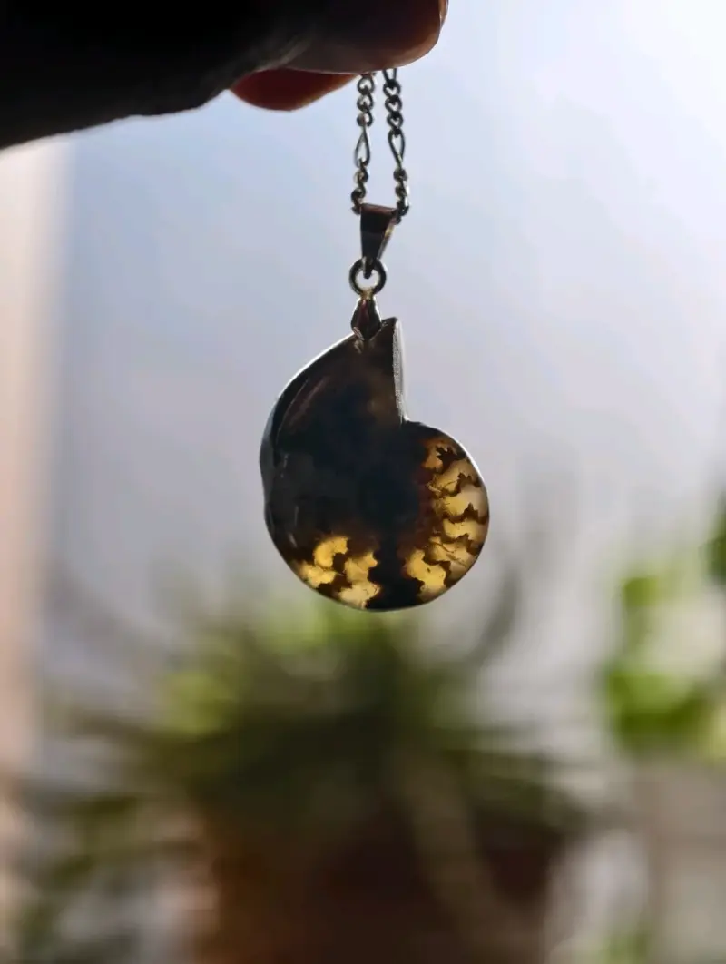 Collar de plata con colgante de fósil de amonita - 2