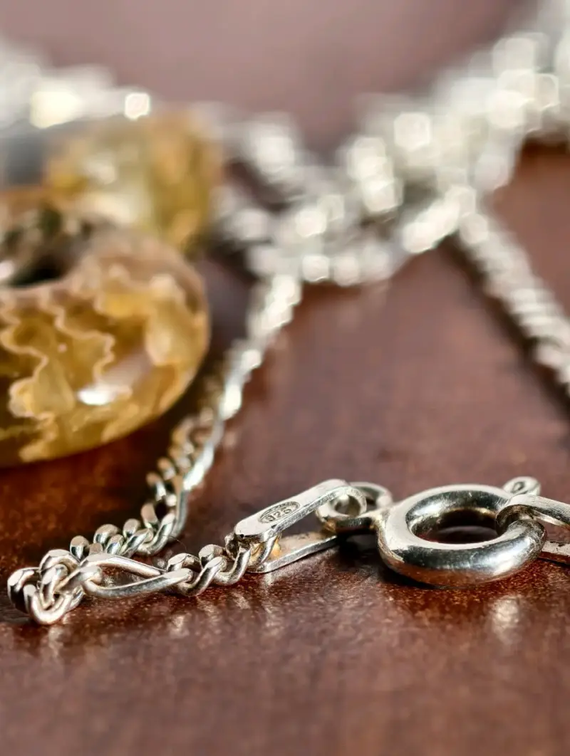 Collar de plata con colgante de fósil de amonita - 3