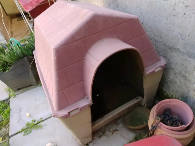 Casa para perro de plástico resistente - 1