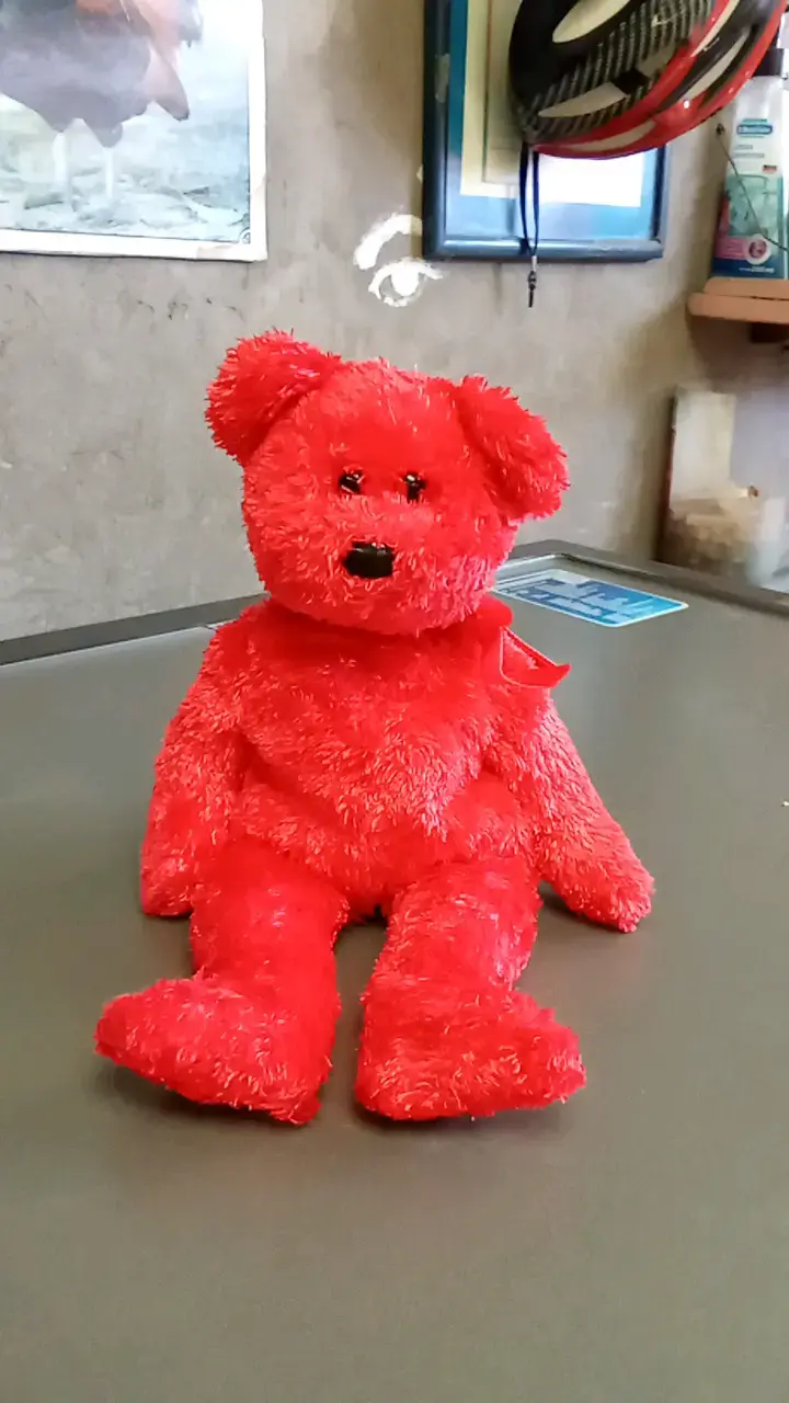 Osito de peluche rojo suave - 1