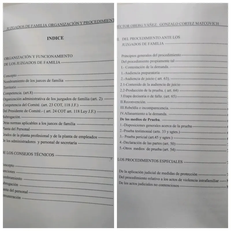 Libro Juzgados de Familia Organización y Procedimientos - 3