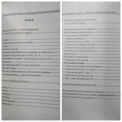 Libro Juzgados de Familia Organización y Procedimientos - miniatura 3