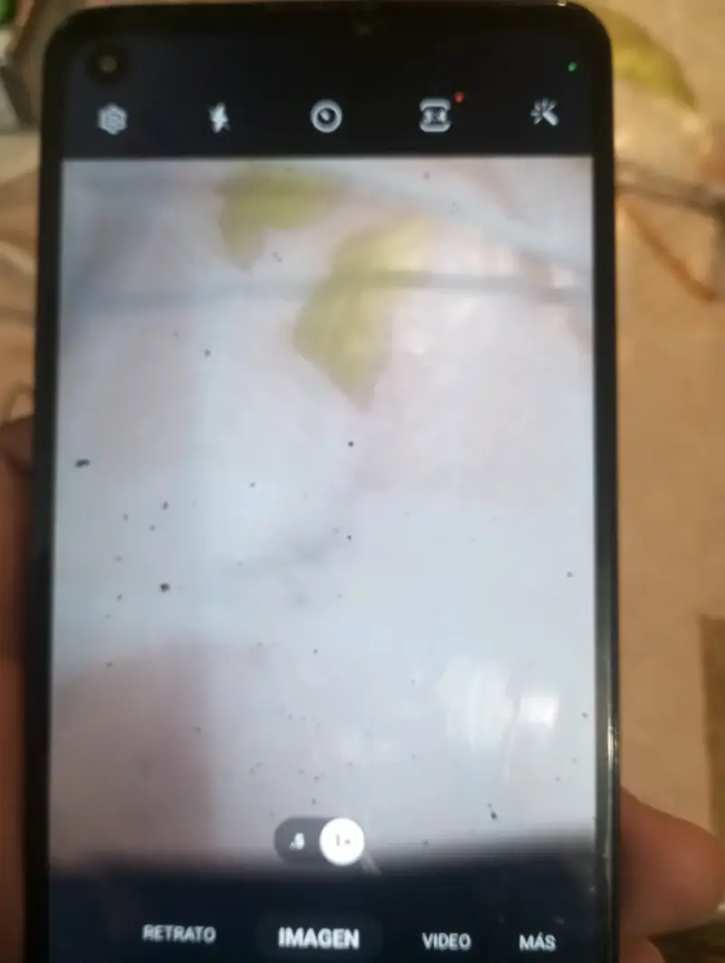 Samsung A21s - 4