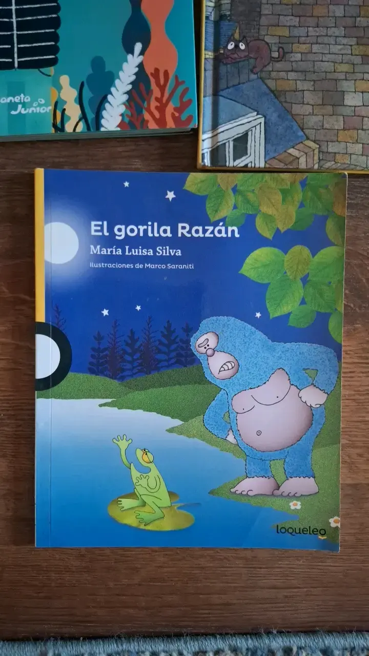 Set de libros infantiles ilustrados - 4