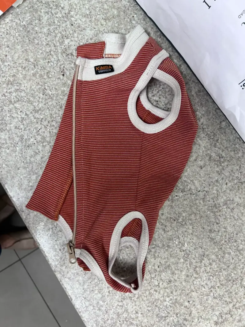 Ropa post-quirúrgica para perros y gatos Kimba Vet - 5
