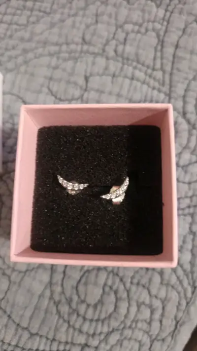 Aros de plata con circonitas Pandora - miniatura 2