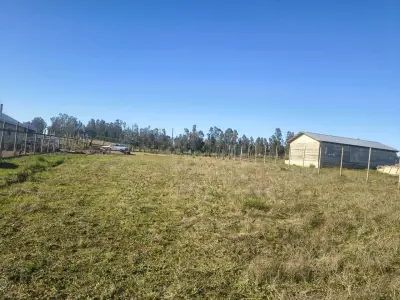 Cesión de derechos terreno indígena - miniatura 1