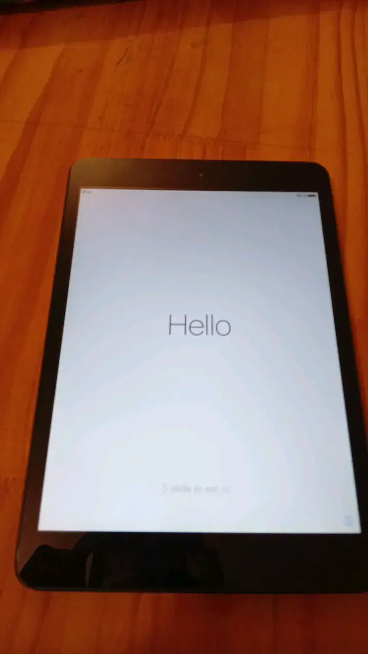 iPad Mini en buen estado - 2