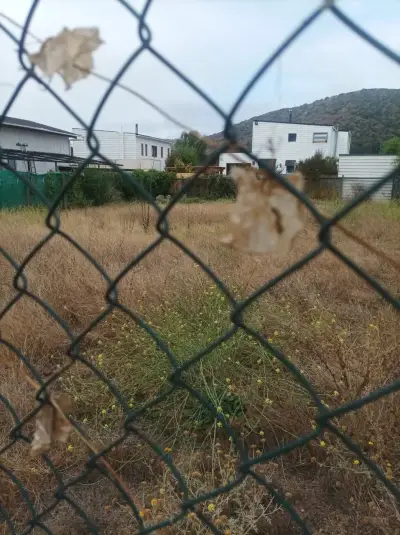 Terreno en Flores de Puyai Papudo - miniatura 4