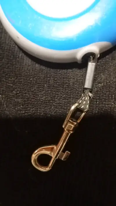 Correa retráctil para perro azul y gris - miniatura 3