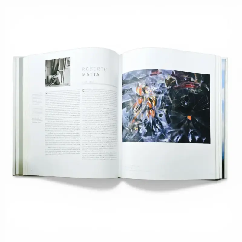 Libro Pintura Contemporánea Latinoamericana - 2