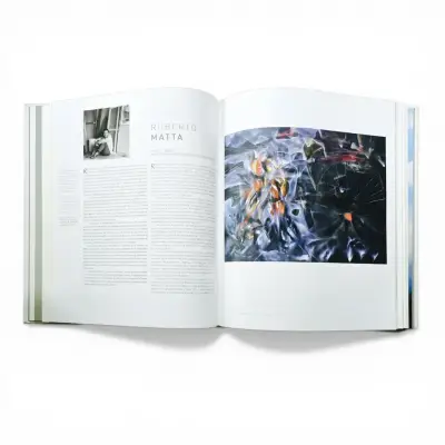 Libro Pintura Contemporánea Latinoamericana - miniatura 2