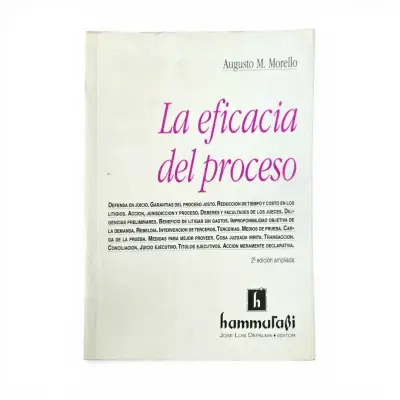Libro 'La eficacia del proceso' de Augusto M. Morello - miniatura 1