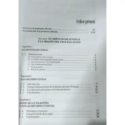 Libro 'La eficacia del proceso' de Augusto M. Morello - miniatura 3