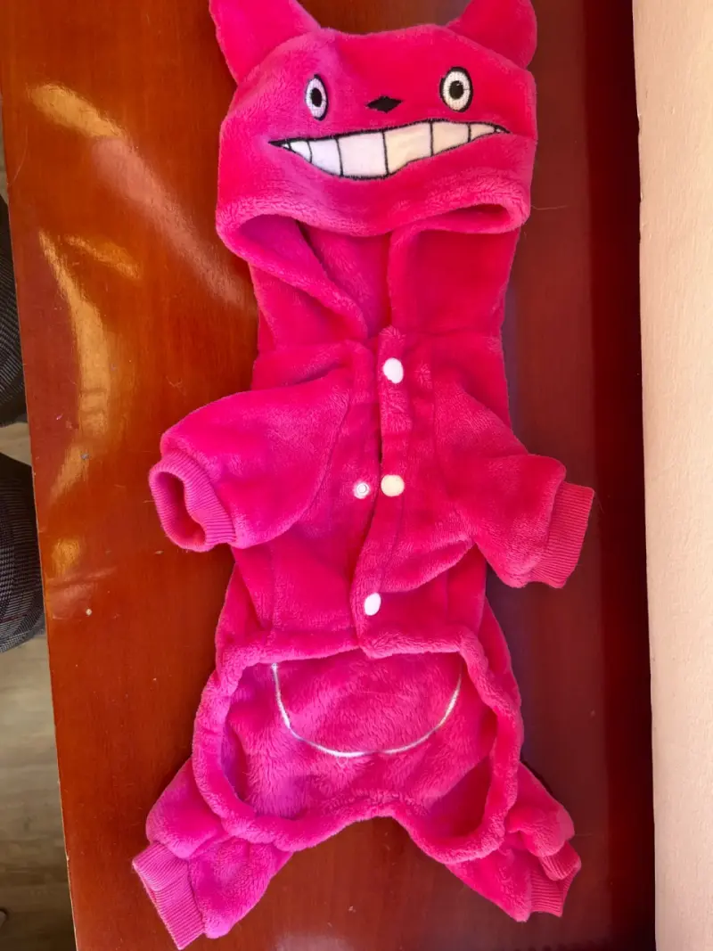 Ropa de invierno para perro pequeño - 3