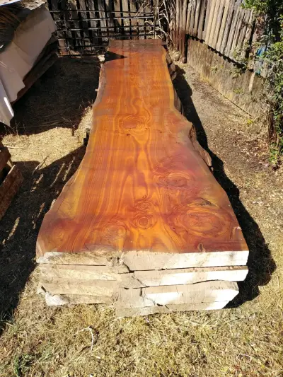 Tablón de madera nativa, quinchos y mesas grandes - miniatura 1