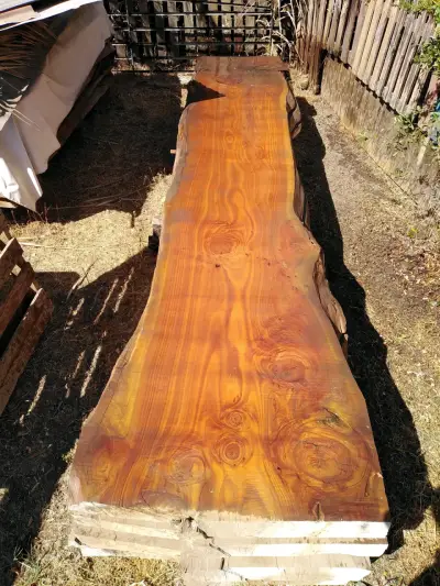 Tablón de madera nativa, quinchos y mesas grandes - miniatura 2