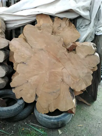 Tablón de madera nativa, quinchos y mesas grandes - miniatura 4