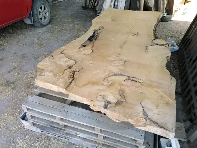 Tablón de madera nativa, quinchos y mesas grandes - 6