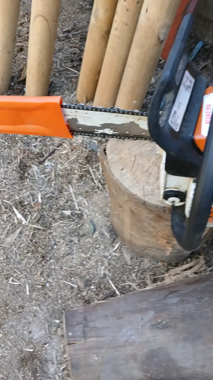 Motosierra Stihl MS 250 con casco de seguridad - 4