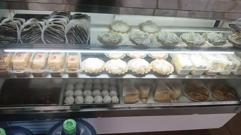 TORTAS,POSTRES,PASTELES,MASA PARA EMPANADA - 5