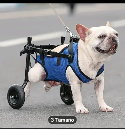 Silla de ruedas para perro ajustable azul - miniatura 1
