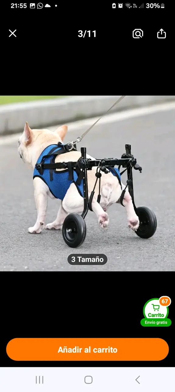 Silla de ruedas para perro ajustable azul - 2