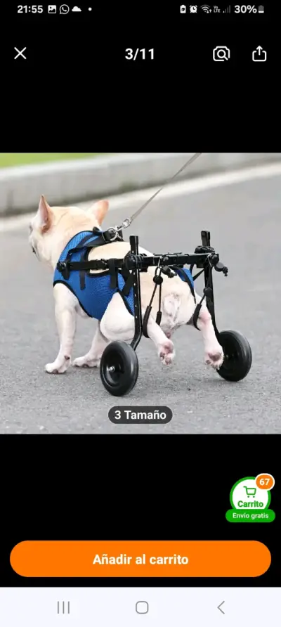 Silla de ruedas para perro ajustable azul - miniatura 2