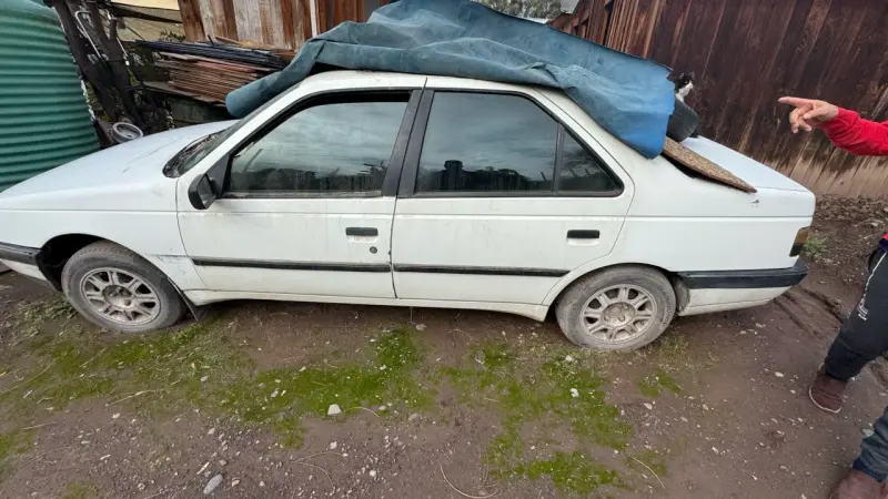 Auto Peugeot 405 usado - 2
