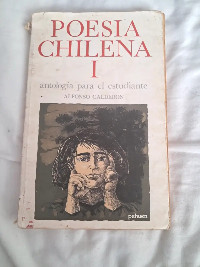 Libro - 4