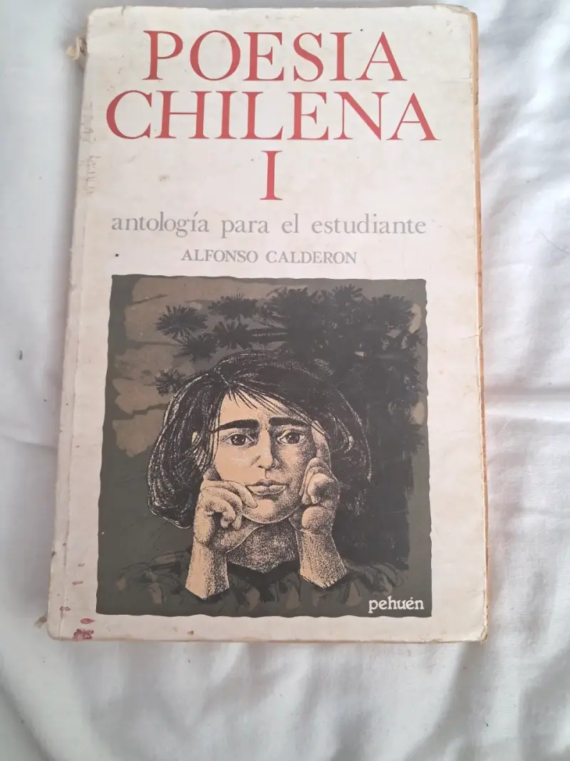 Libro - 5