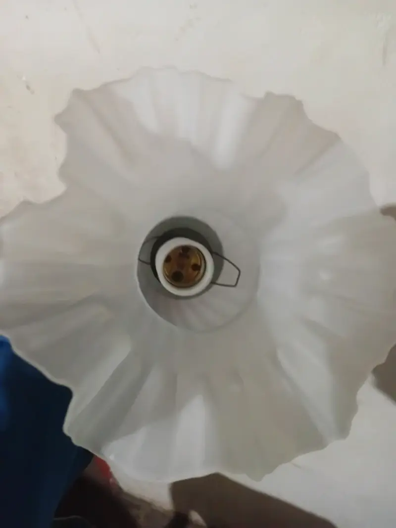 Lámparas de techo vintage con tulipas de vidrio - 2