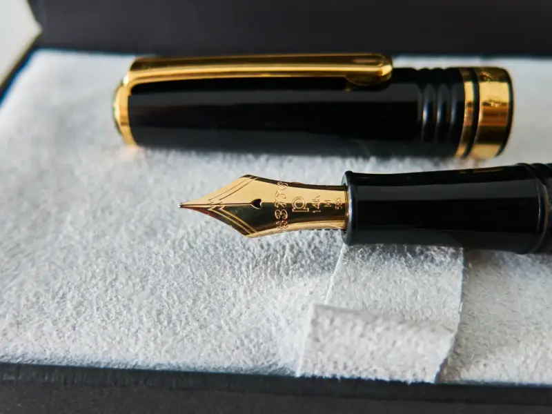 Pluma estilográfica Platinum #3776 Black Gathered - 2