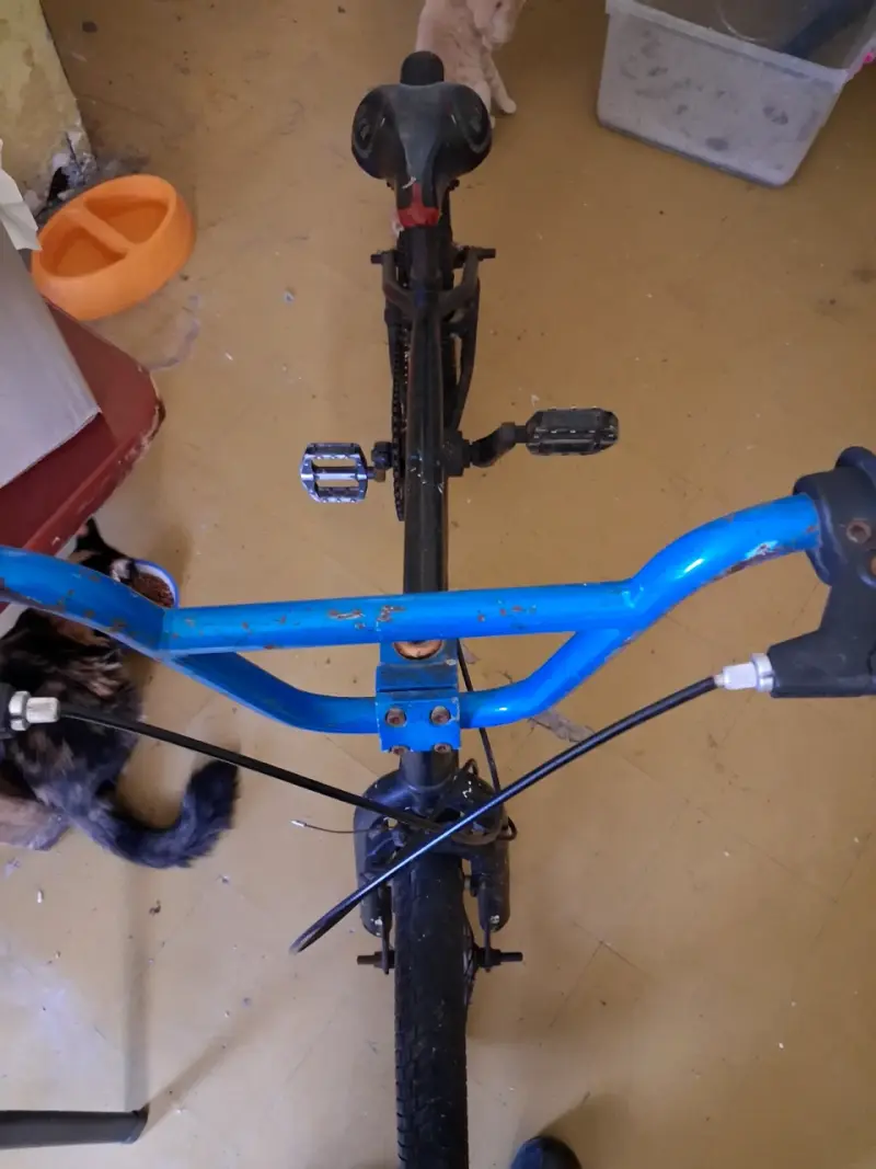 Bicicleta BMX negra con manubrio azul - 2