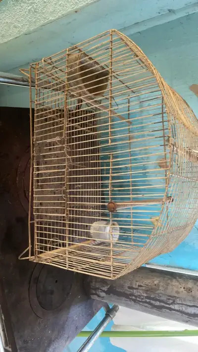 Jaula para aves metálica con soporte - miniatura 1