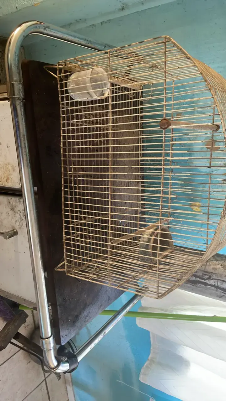 Jaula para aves metálica con soporte - 2