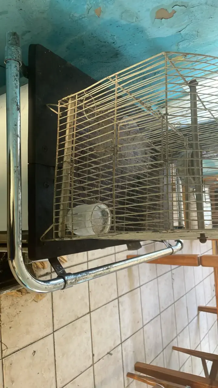 Jaula para aves metálica con soporte - 3