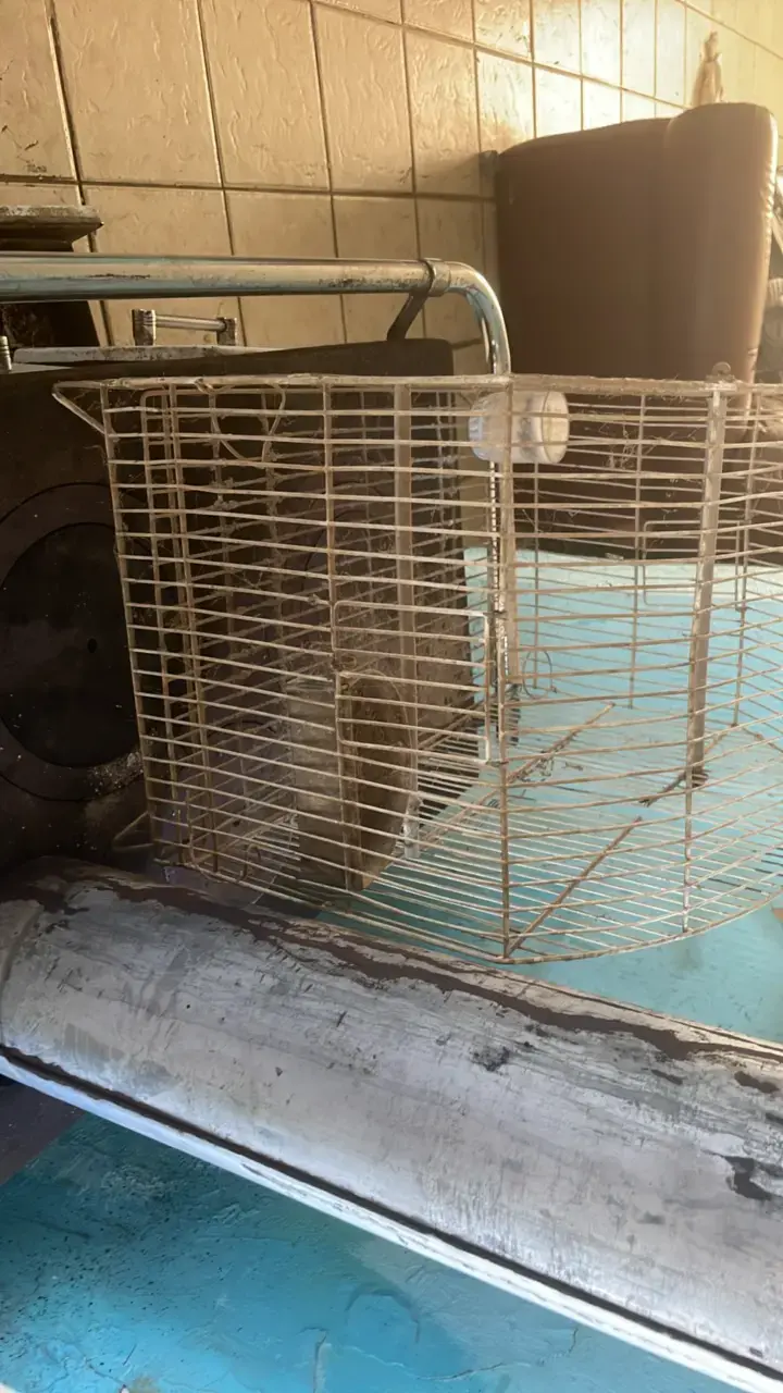 Jaula para aves metálica con soporte - 4