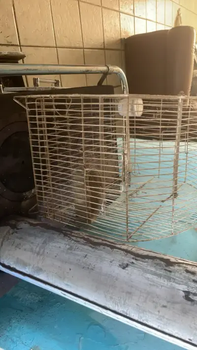 Jaula para aves metálica con soporte - miniatura 4