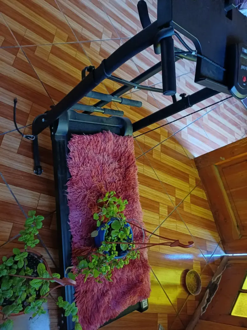 Caminadora eléctrica plegable compacta - 2