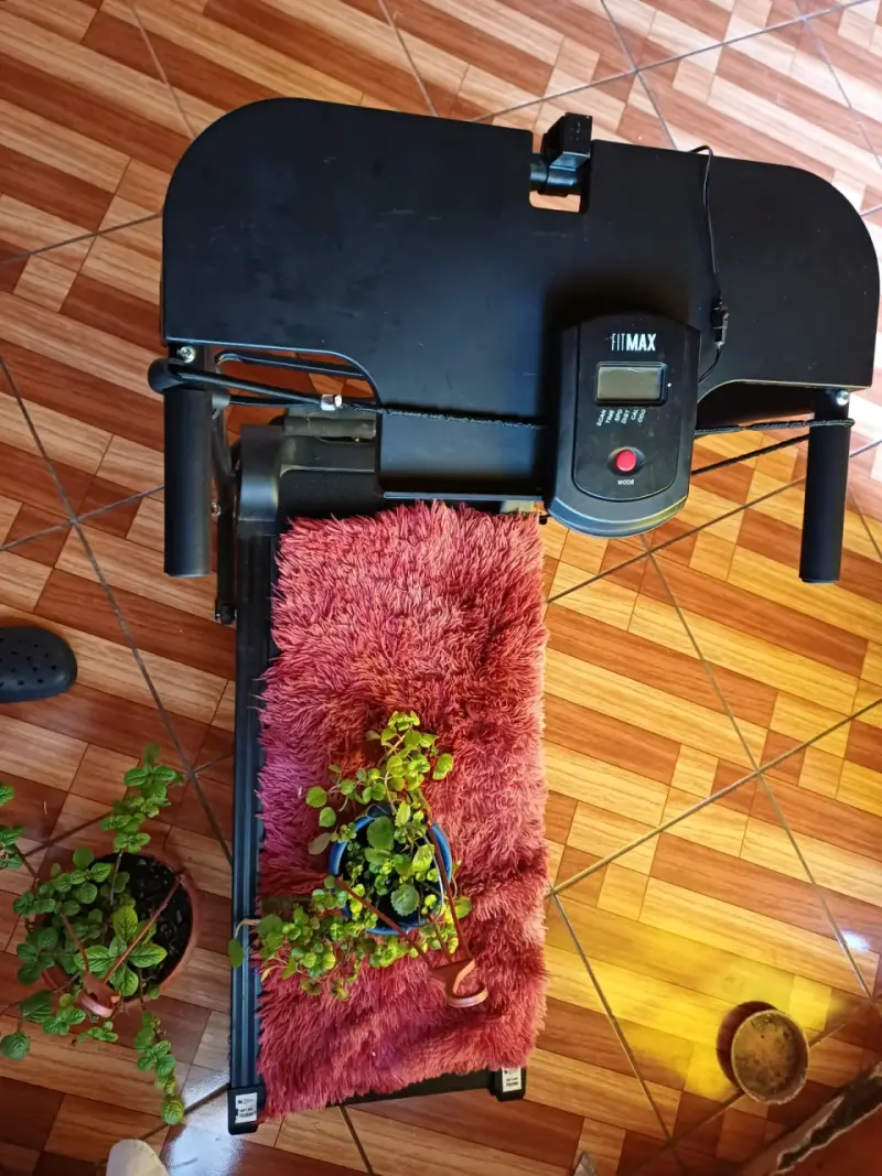 Caminadora eléctrica plegable compacta - 3