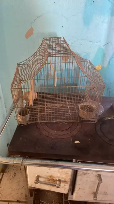 Jaula para pájaros metálica vintage - miniatura 1