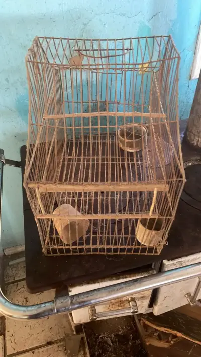 Jaula para pájaros metálica vintage - miniatura 2
