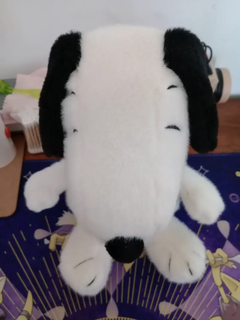 Peluche Snoopy - 1