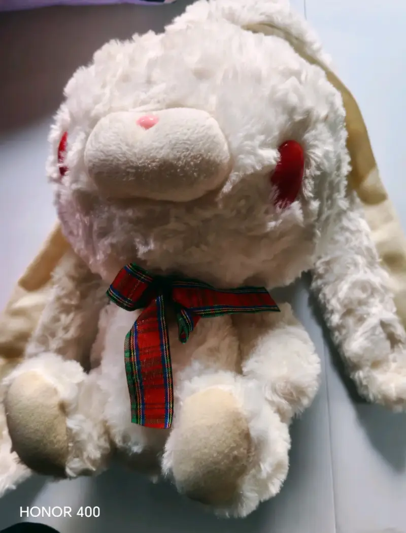 Vendo gloomi bear rojo y blanco - 3