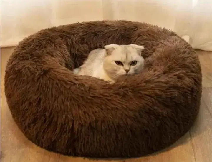 Cama 50 CM. para mascotas suave y acogedora - 4