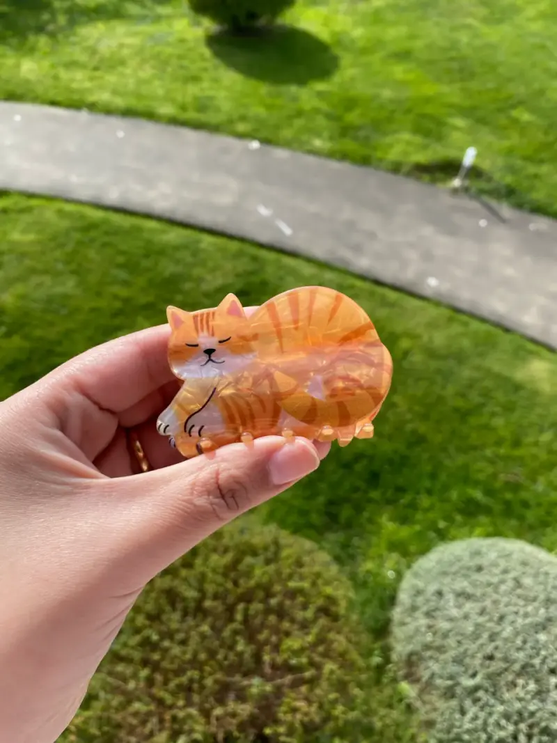Pinches de gatito - 1