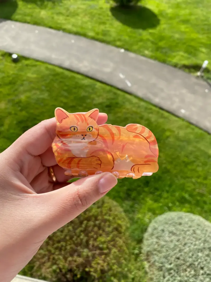 Pinches de gatito - 3
