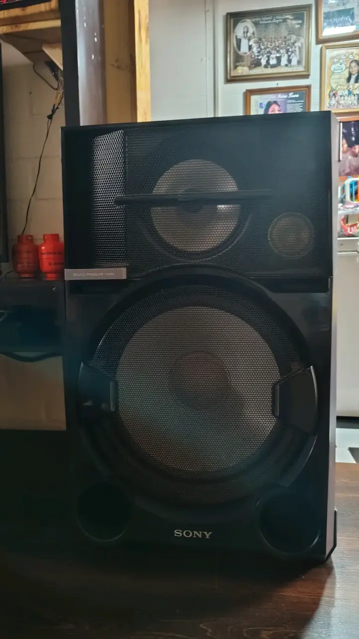 Parlante Sony con alta potencia de sonido - 1